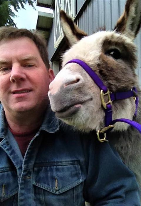 Dave Stockwell